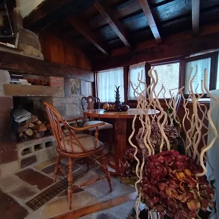 Pico Poo Apartment Quintanilla